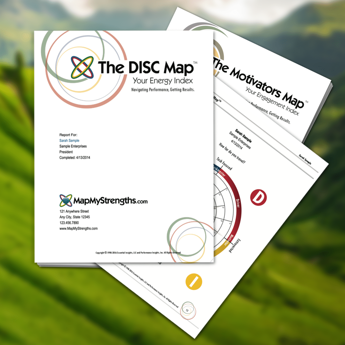 Student (High School/College Age) DISC and Motivators Assessment with Telephone Debrief